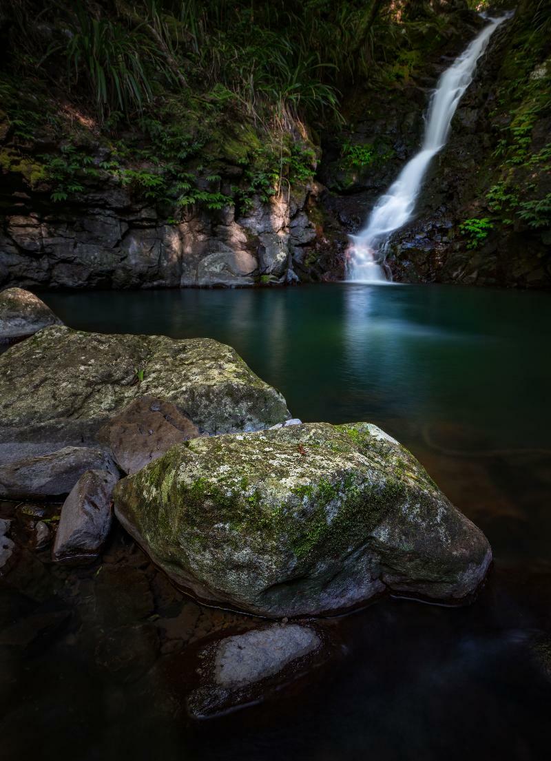 Binna Burra Mountain Lodge Gold Coast Zewnętrze zdjęcie